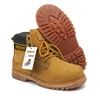 Picture of 8006Wheat