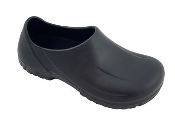 Picture of S077